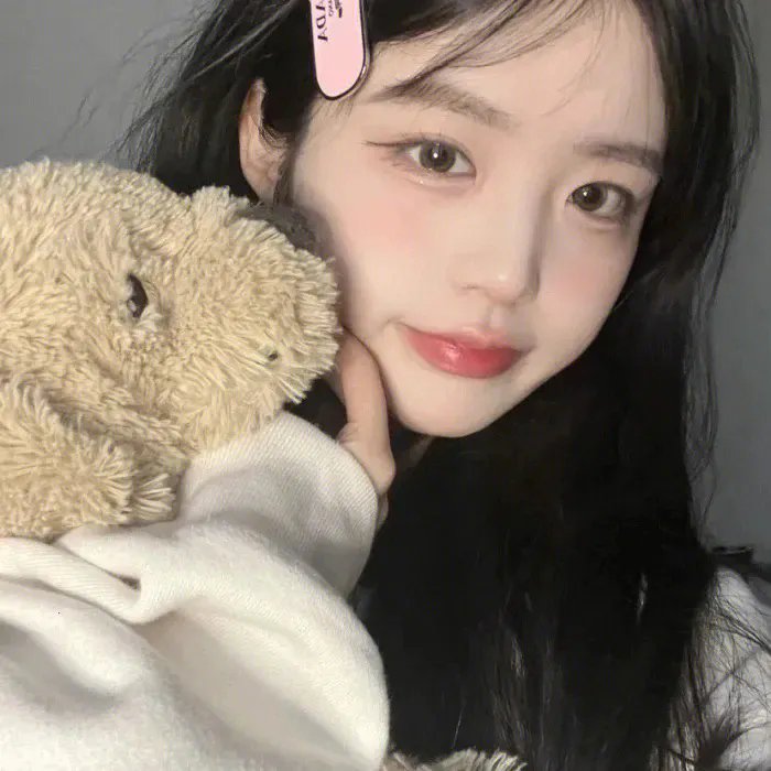 探险活宝第八季
